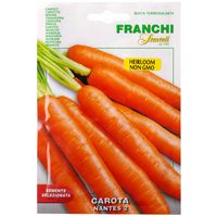 Franchi Sementi Nantes Carrot